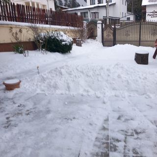 Casa Elli Buşteni (2)