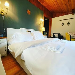 Bohemian Chalet Bușteni (5)