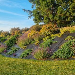 Domki nad Jeziorem z własną linią brzegową Rybical 1 Ryn (4)