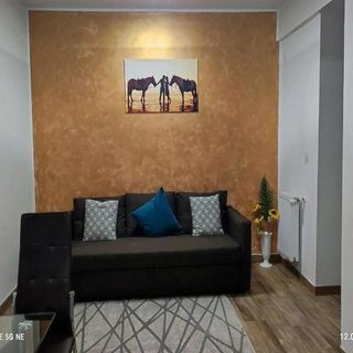 Apartament Lenus'k 2 București (4)