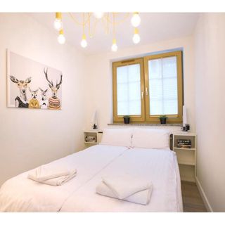 Apartament Młynkówka Szklarska Poręba (3)