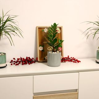 Hushu Apartment Giroc (4)