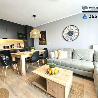 Apartament Nefryt w Sarbinowie - 365PAM (3)