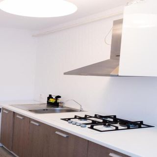 Apartament Thome White Flat Cluj-Napoca (2)