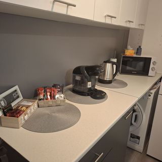 Apartament Sara Royal View Sibiu (4)