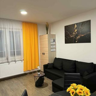 Apartament Zefir Busko-Zdrój (3)