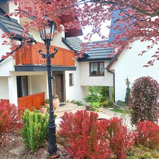 Willa Przekop Sromowce Wyżne (5)