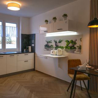 Bliss & Relax Central Apartment Debrecen (3)