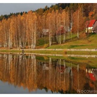 Domki Letniskowe Merkury - Góry Stołowe - Radków (4)