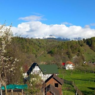 Pensiunea Brian Moieciu de Jos (2)