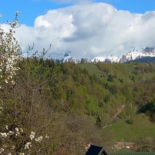 Pensiunea Brian Moieciu de Jos (3)