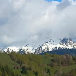 Pensiunea Brian Moieciu de Jos (4)