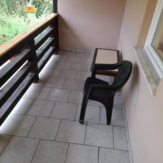 Casa Floare de Colț Stațiunea Climaterică Sâmbăta (5)