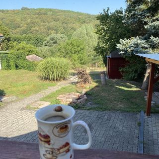 Sziszi Vendégház Kovácsszénája (5)