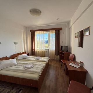 Boutique Hotel Pui de Urs Ciocanu (5)