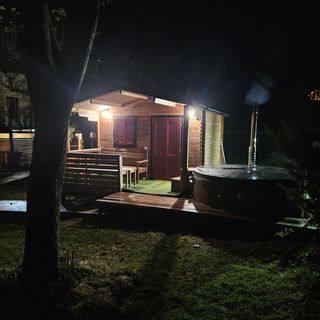 Pensiunea Parcul Manga (4)