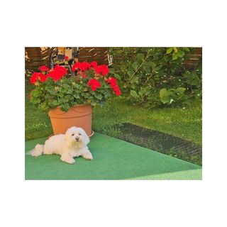 Willa Śnieżynka Szczyrk (5)