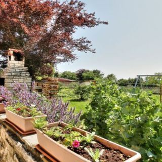 Soba za dvoje Paradinović Zambratija (5)