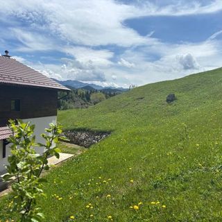 Casa Dealul Craiului Șirnea (5)