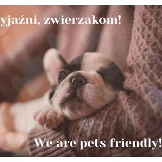 Willa Jordanówka Czorsztyn (5)