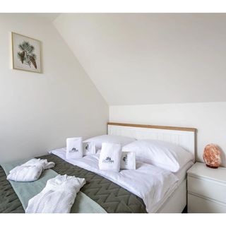 Apartament Green Park Resort B26 Szklarska Poręba (3)