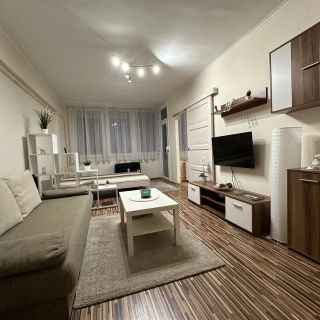 Zenora Apartman Makó (5)