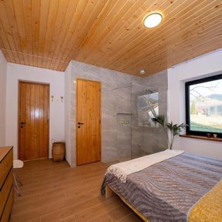 Chalet M2 Lunca Bradului Lunca Bradului (4)