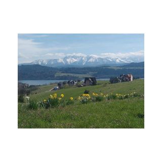 Apartamenty Sasówka Maniowy (5)