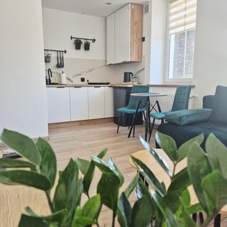 Apartament Moniuszko Jedlina -Zdrój (5)