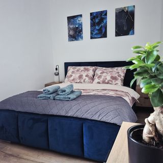 Apartament Moniuszko Jedlina -Zdrój (3)