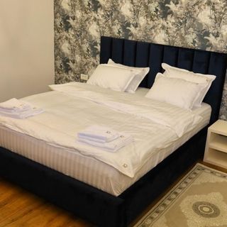 Don's Residences Apartments Arad (4)