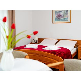 Willa Astra Karpacz (4)