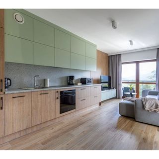 Apartament Green Park Resort C12 Szklarska Poręba (2)