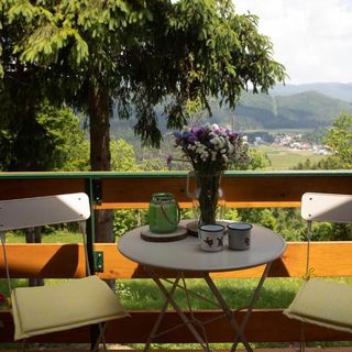 House Zeleni brig Mrkopalj (4)