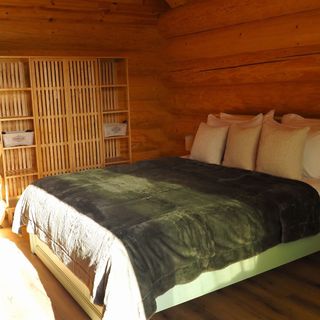 Cabana Sparrow's Nest Râșnov (5)