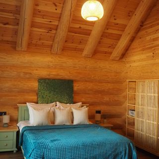 Cabana Sparrow's Nest Râșnov (3)