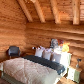 Cabana Sparrow's Nest Râșnov (4)