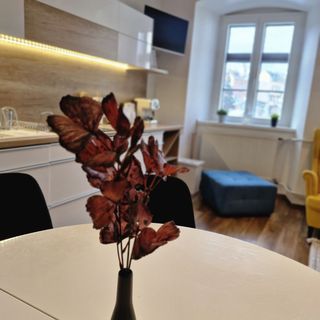 Várker 39 Apartman Sopron (5)
