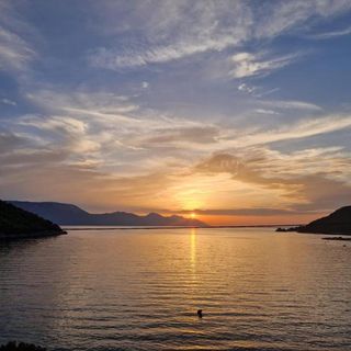 Apartments Damir Blace (4)