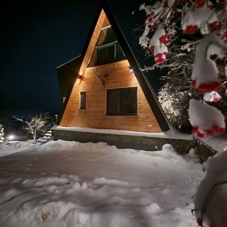 Fox Cabins Trăisteni (5)