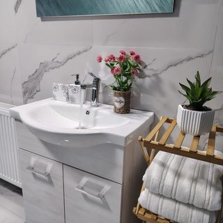 Casa Romanilor Peșteana (2)