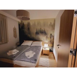 Owcza Górka Apartamenty Istebna (4)