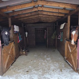 Pensjonat Słoneczne Podgórze Duszniki-Zdrój (5)