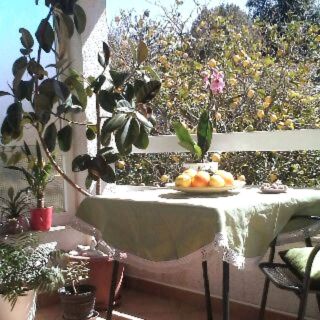 Apartment Jadris Loviste (2)