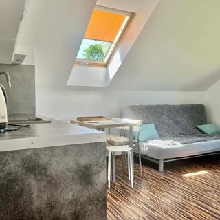 Apartament Sarbinowo (2)