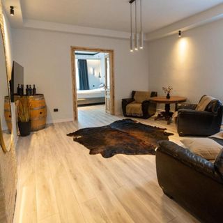 Apartament Barrique Republicii Brașov (2)