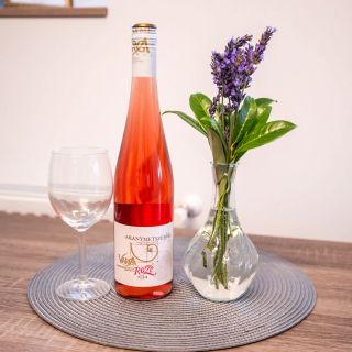 Péntek Apartmanház Nemesgulács (5)