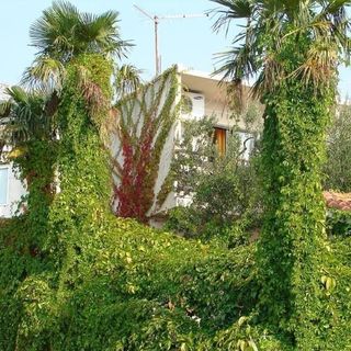 Apartmanok A Tenger Mellett Gradac, Makarska - 24960 Gradac (2)