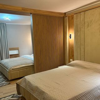 Cabana Lena Nord Borşa (2)