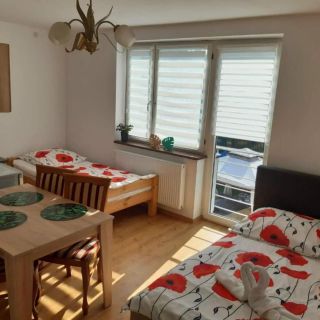 Pokoje i apartamenty - Barbarosa Solina (3)